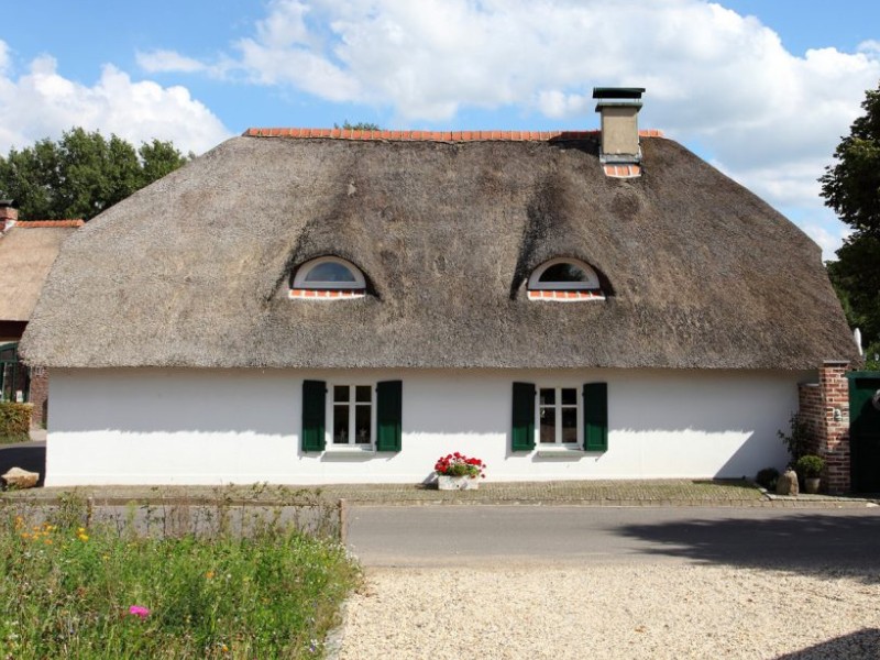 Reetdachhaus bekommt Charakter durch passende Fenster von frovin