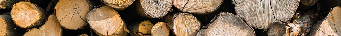 holz.jpg