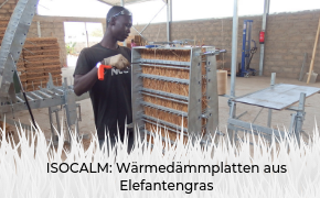isocalm dämmen mit elefantengras_c canva_290auf180.png isocalm dämmen mit elefantengras_c canva_290auf180.png