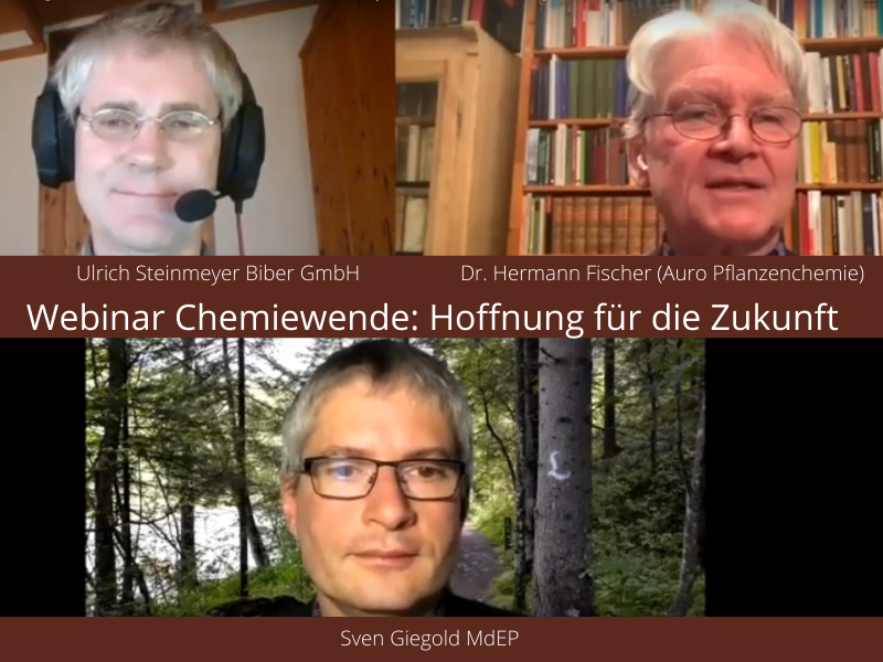 webinar chemiewende_800auf600.png