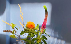 natureierfarben 1_naturfarben_c auro_290auf180.png graublaue-wand-mit-bunten-blumen_290auf180_c-oekoplus_333-dove-blue-auro.png