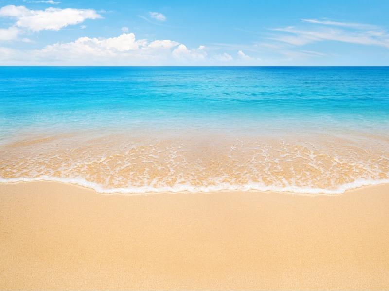 Urlaubsstimmung-zuhause-gelber-Strand-800auf600-OekoPlus-Natur-Wandfarbe