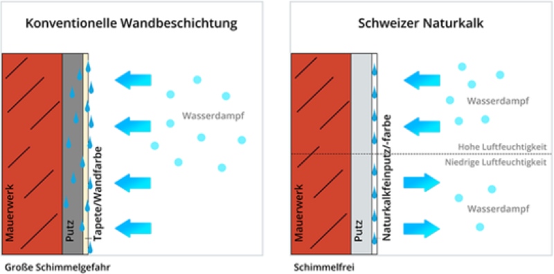 Infografik Feuchtigkeitsaufnahme durch Naturkalk