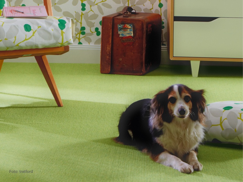 Hund fühlen sich wohl auf dem grünen Teppichboden von tretford