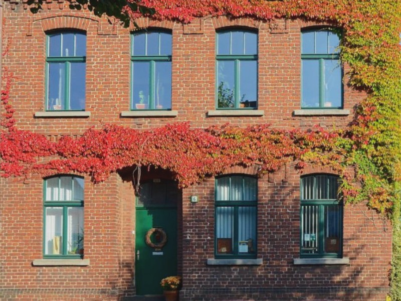 Gut isolierende Fenster mit schmalen Profilen reduzieren Wärmeverlust und unterstreichen den Altbau-Charme