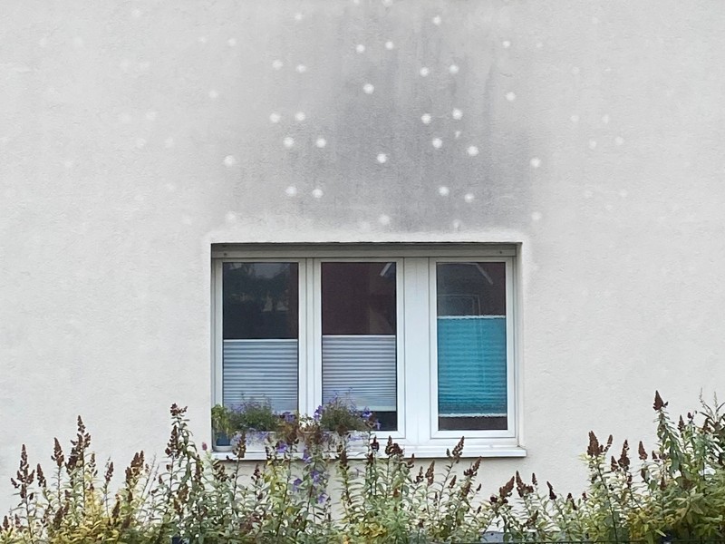 Hausfassade mit dunklen Pilzen und Algen über dem Fenster